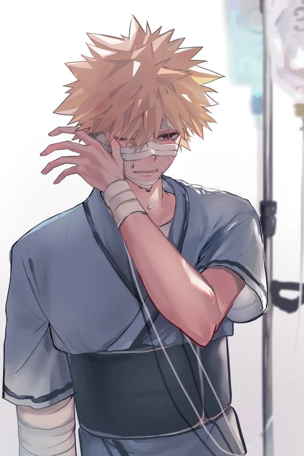 Бакуго — Моя геройская академия / Boku no Hero Academia
