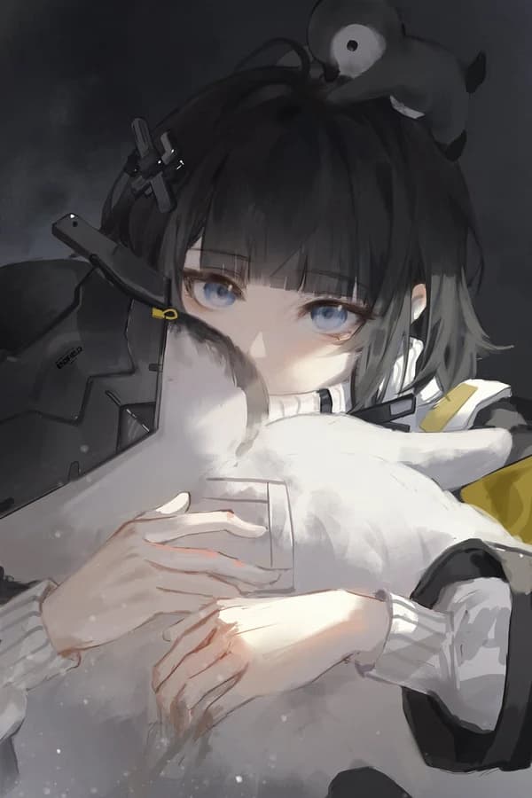 Эндминистратор — Arknights: Endfield
