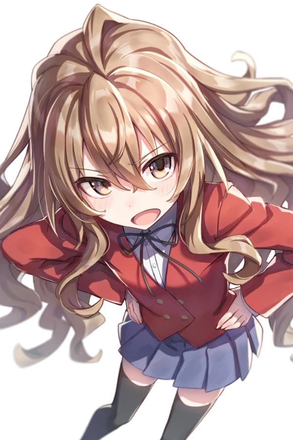 Тайга — ТораДора! (Новелла)