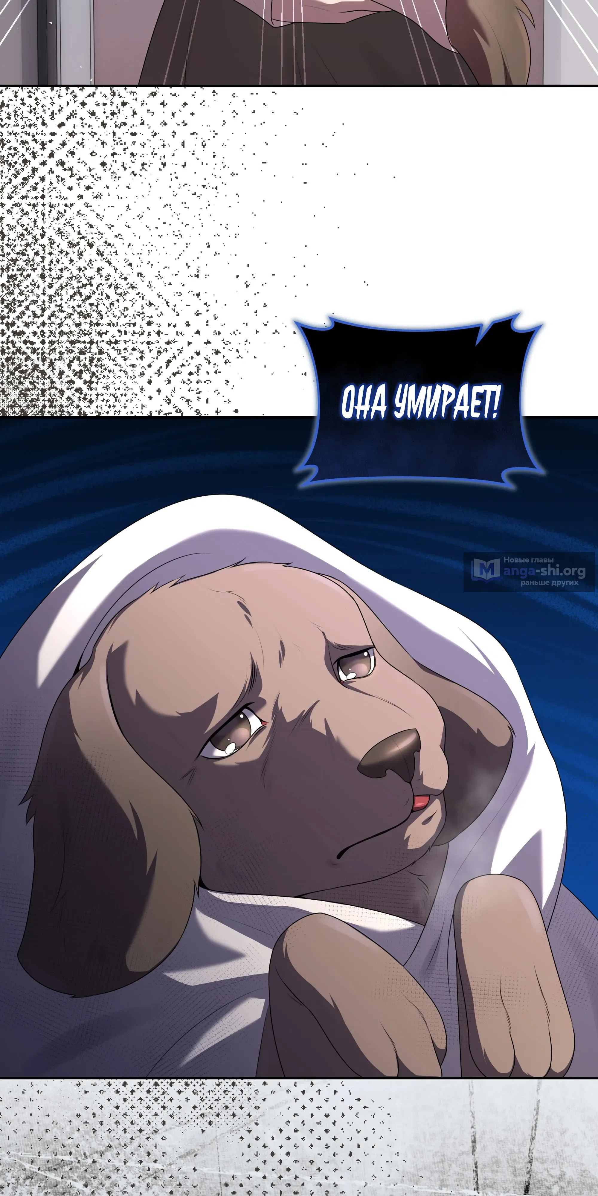 стр 10