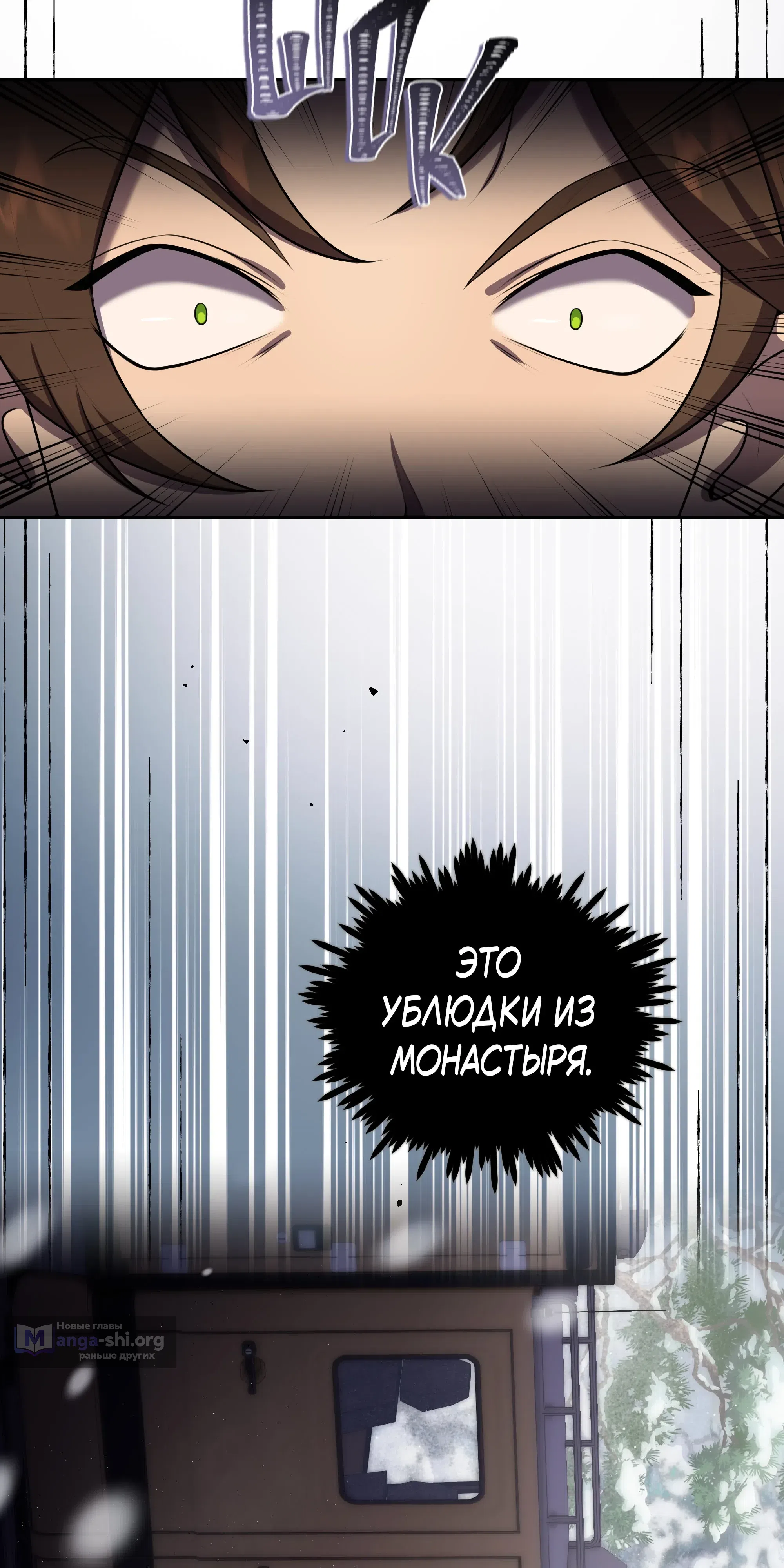 стр 11