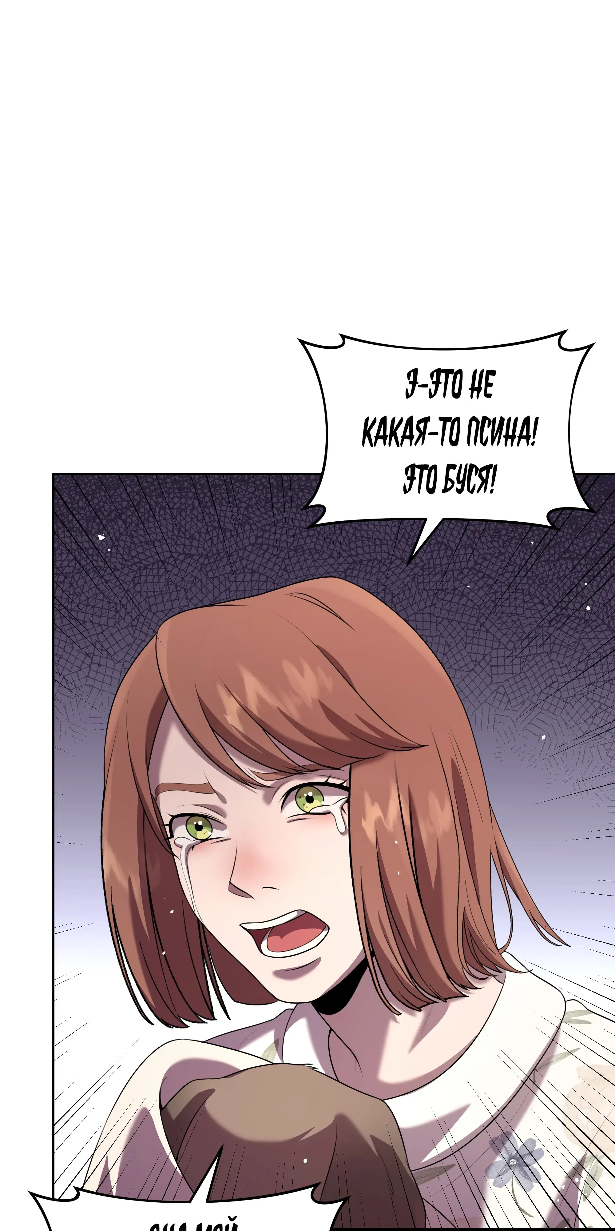 стр 13