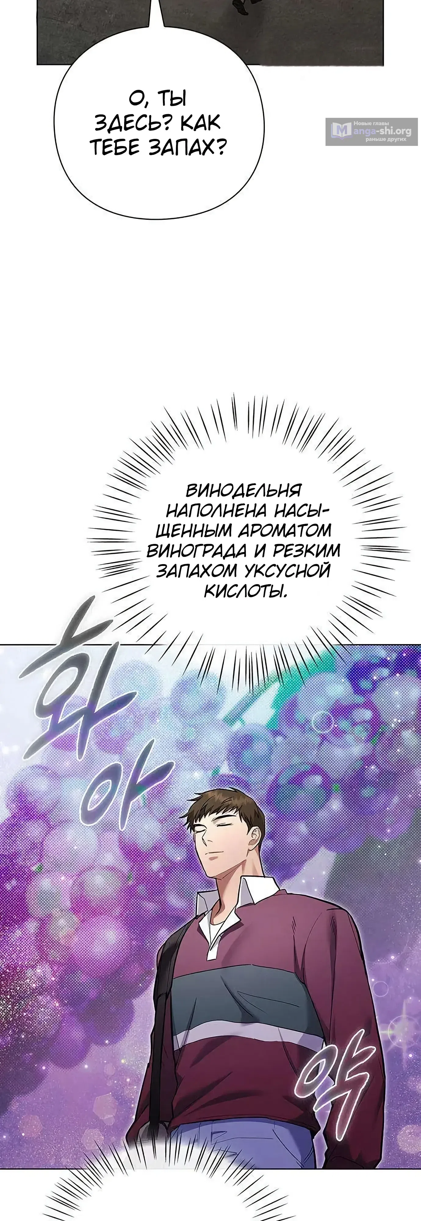 стр 27