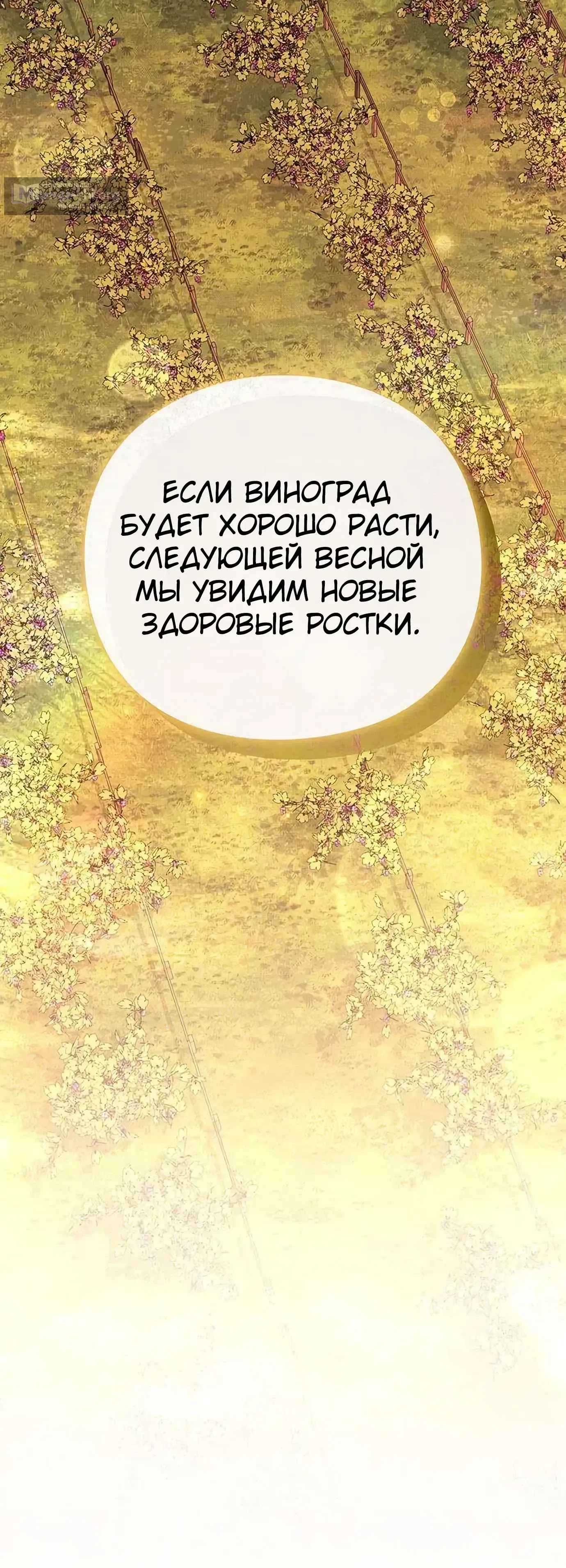стр 70