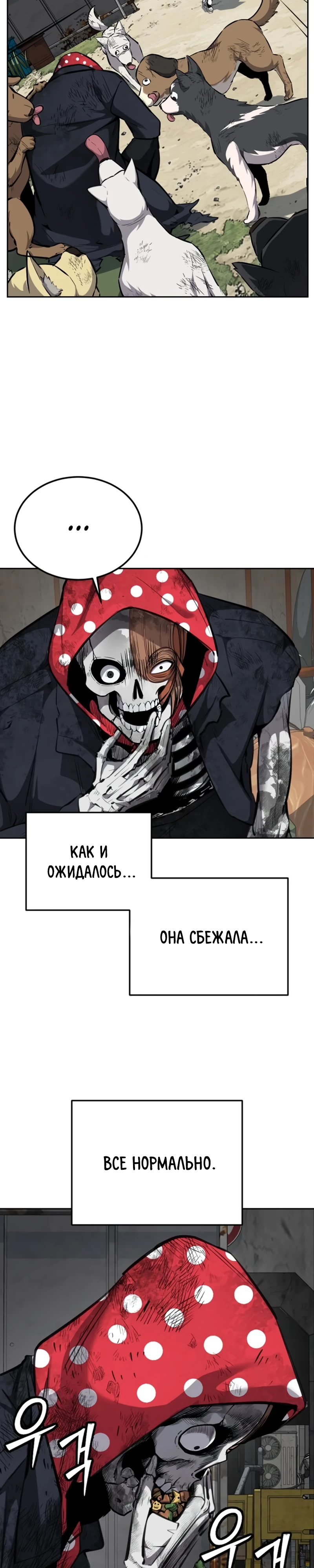 стр 23