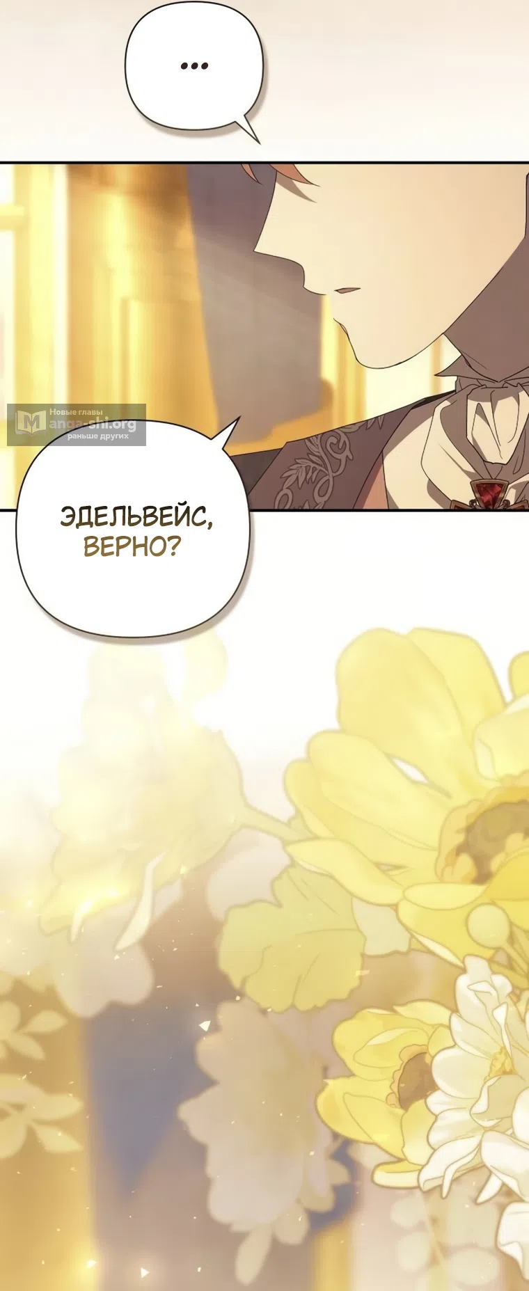 стр 41