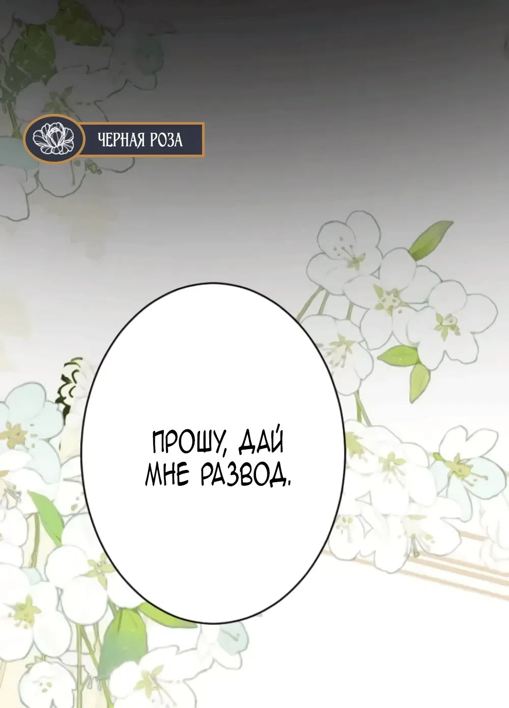 стр 5
