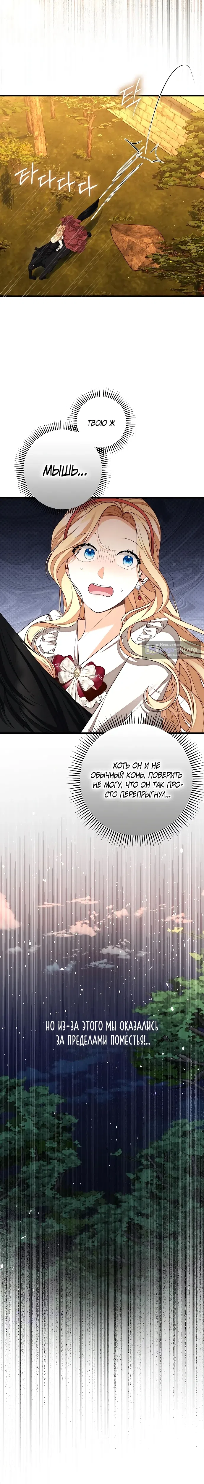 стр 24