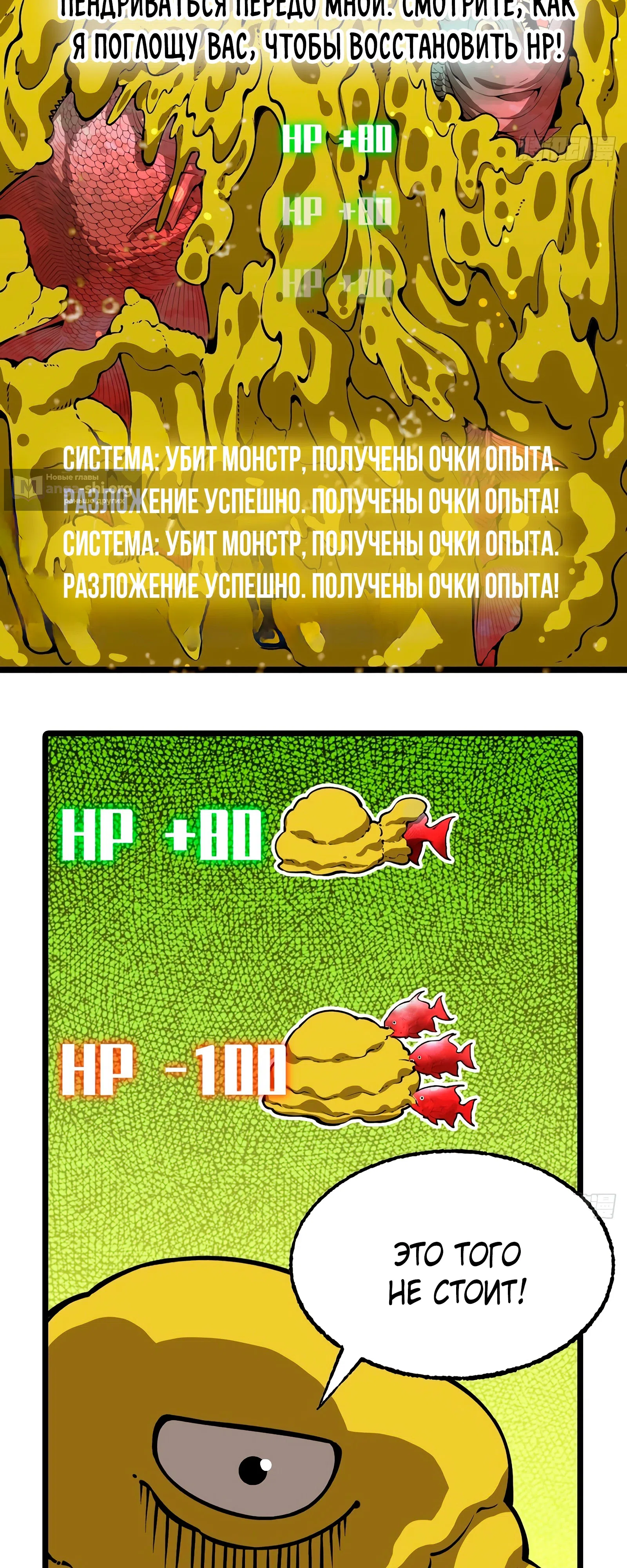 стр 24
