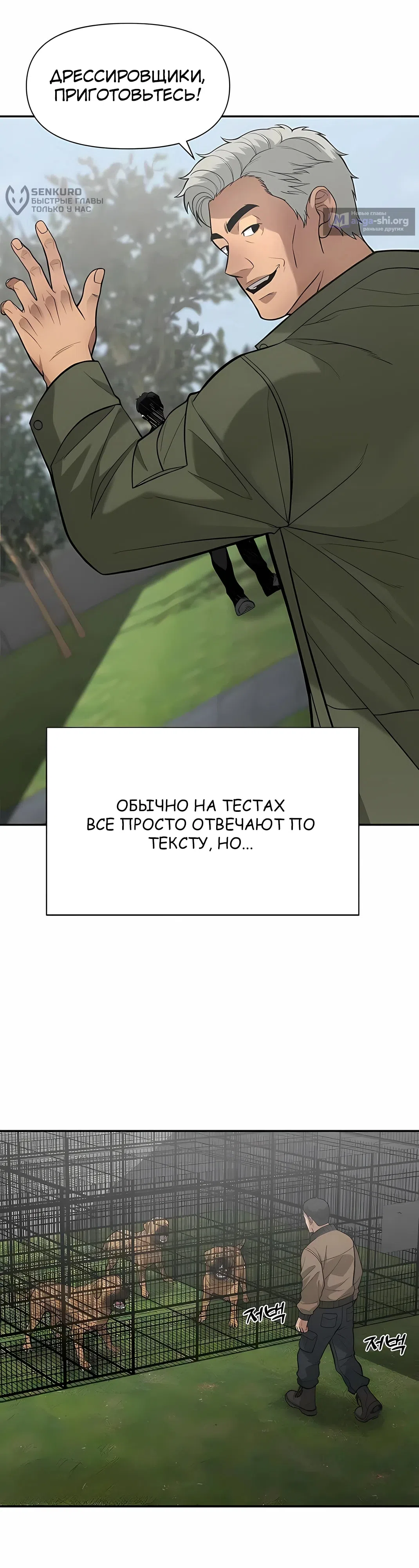 стр 13