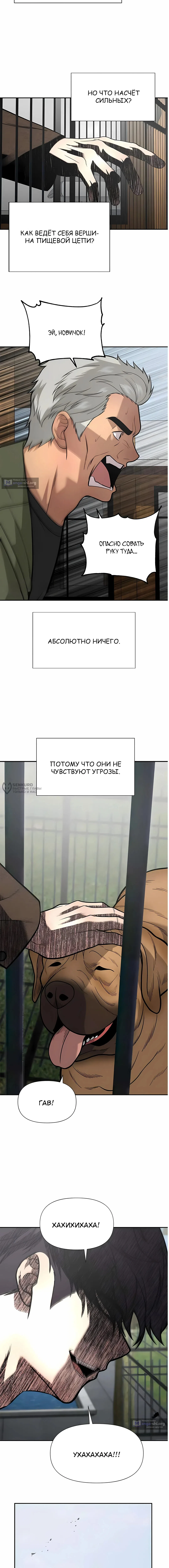 стр 25