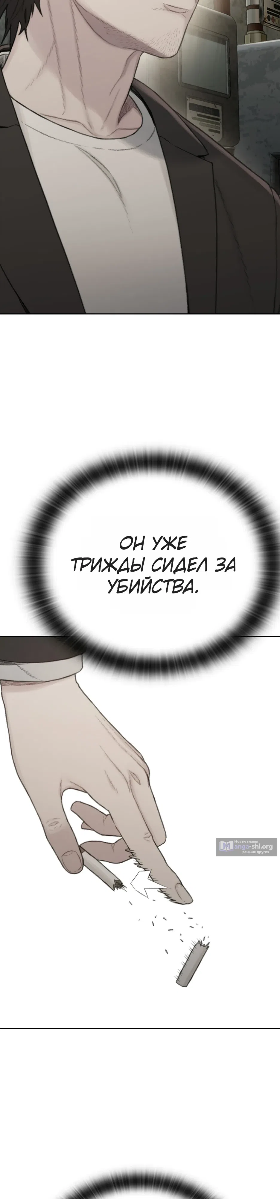 стр 101
