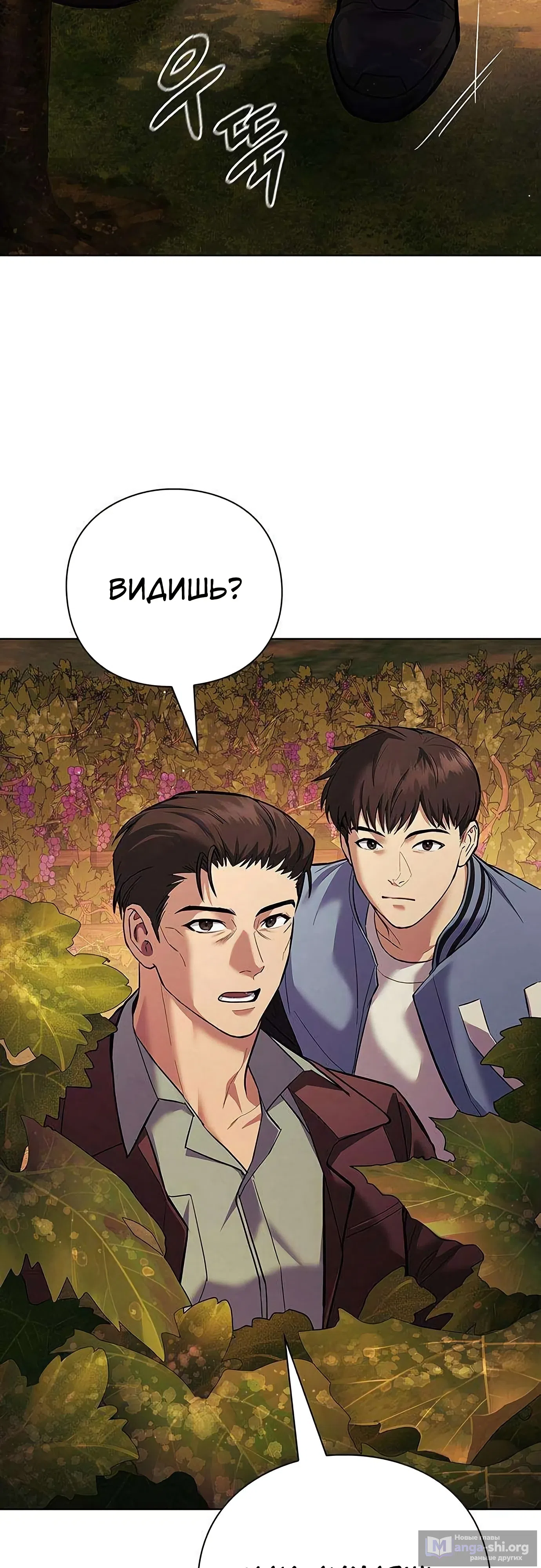 стр 26