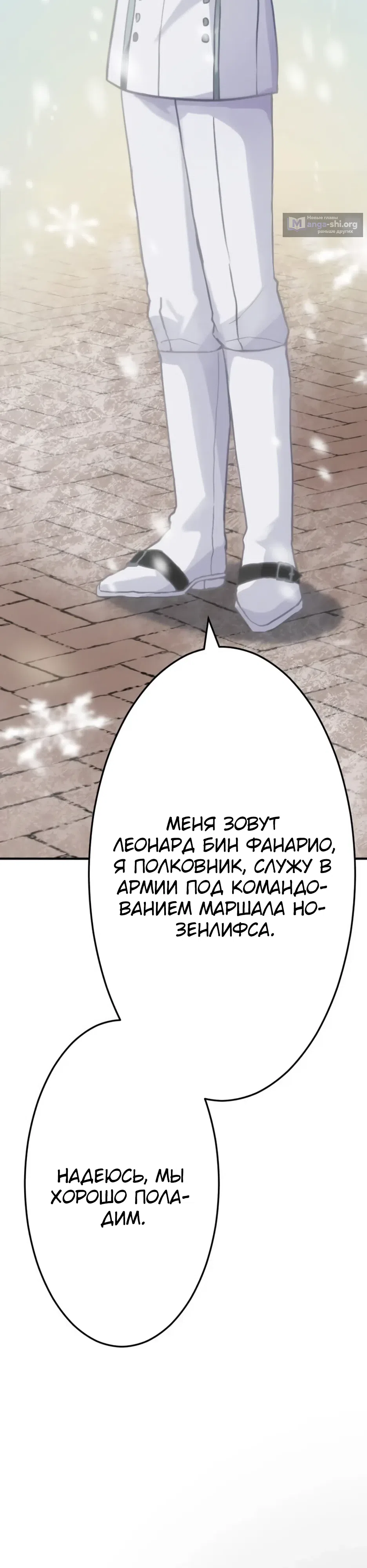 стр 53