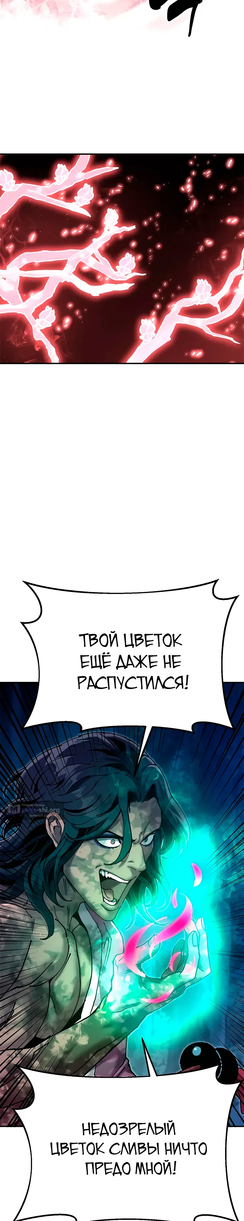 стр 24