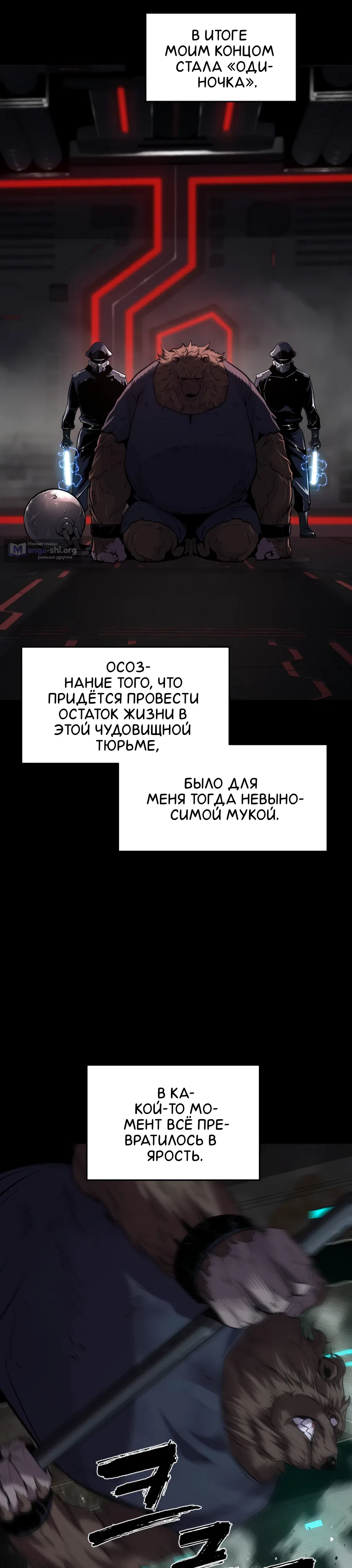 стр 11