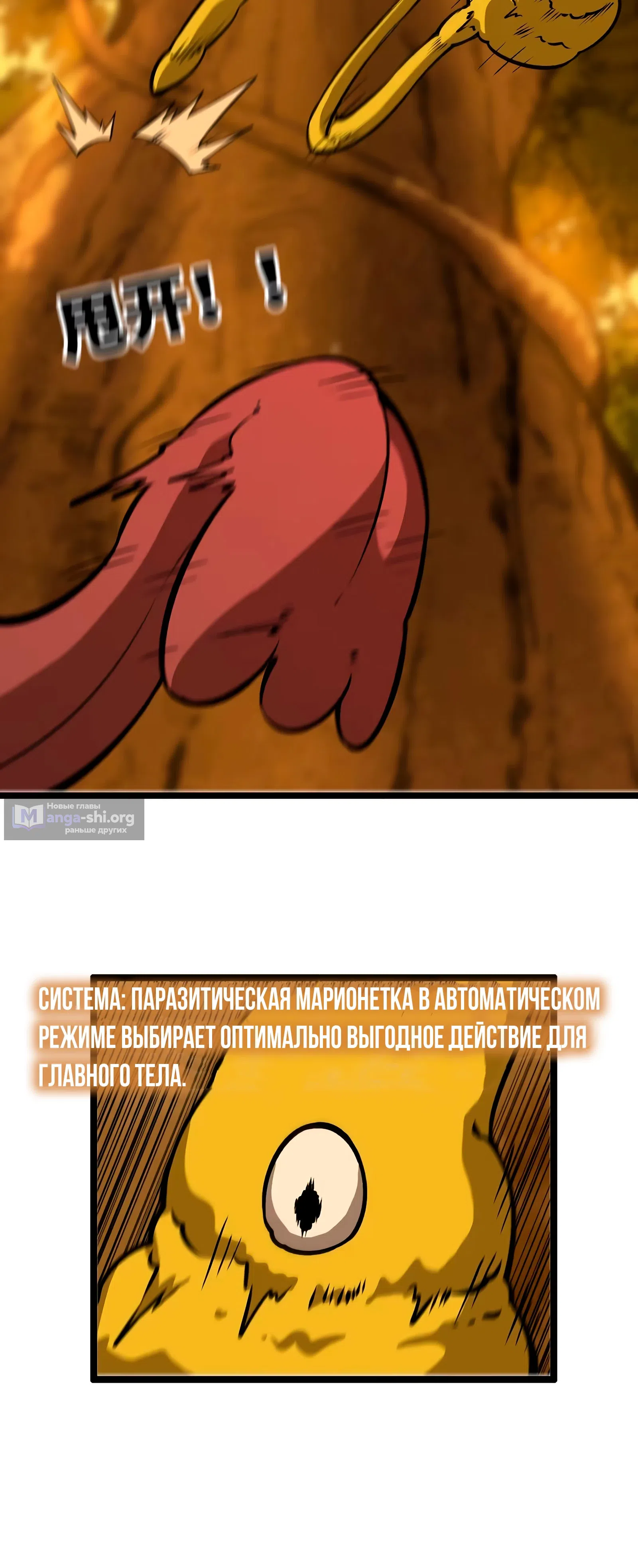 стр 5