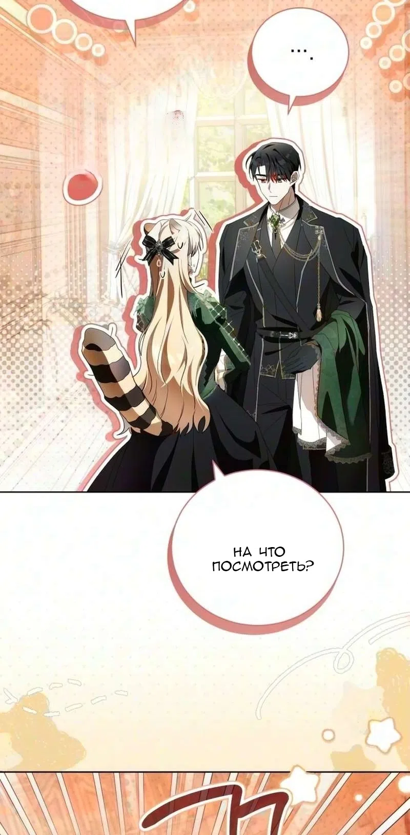 стр 53