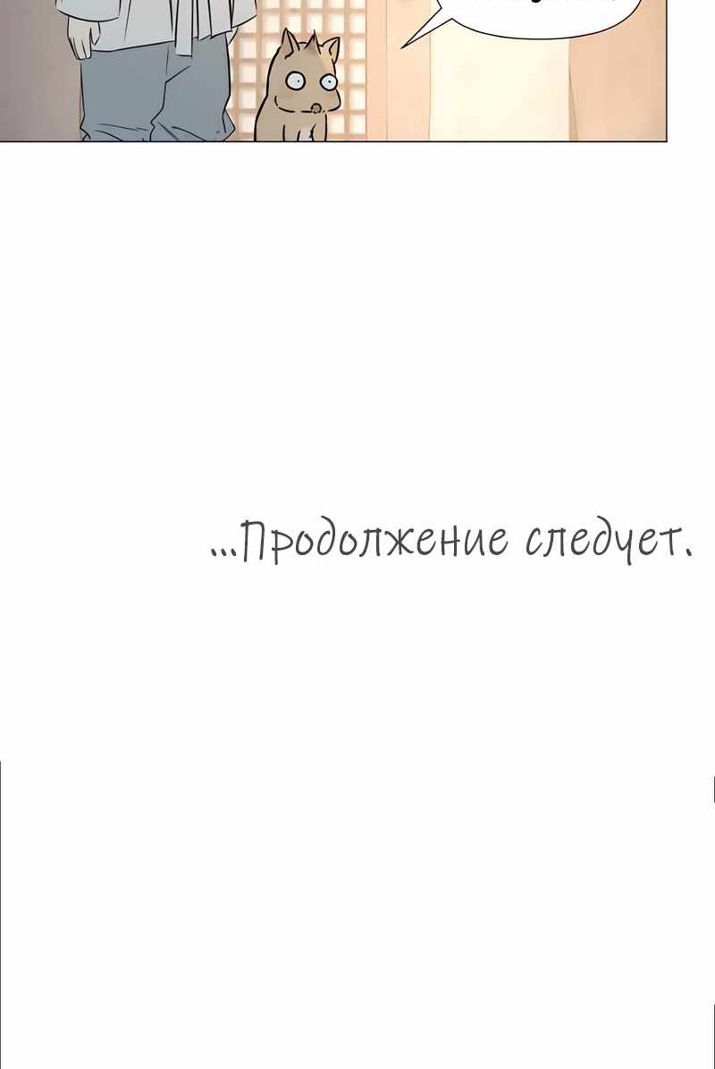 стр 6