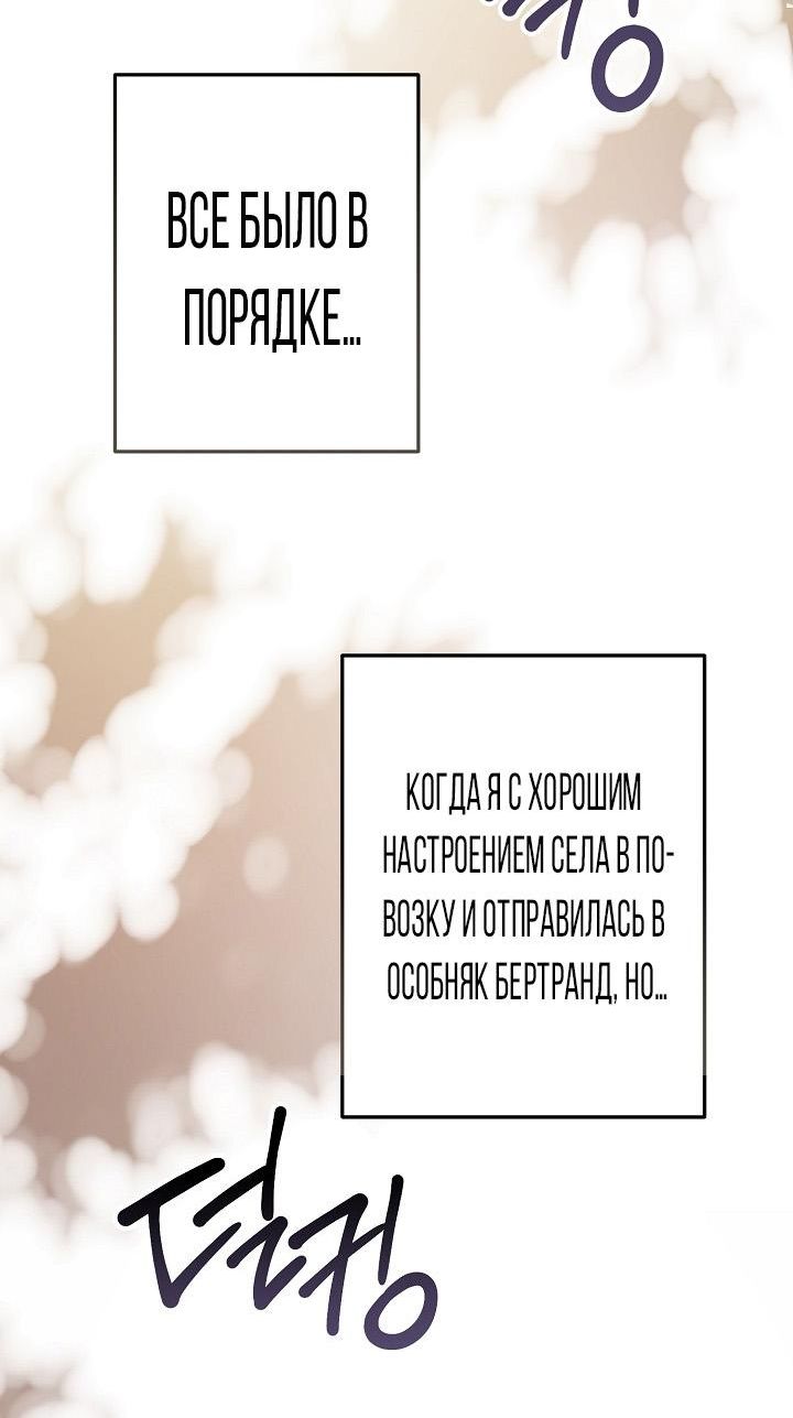 стр 12