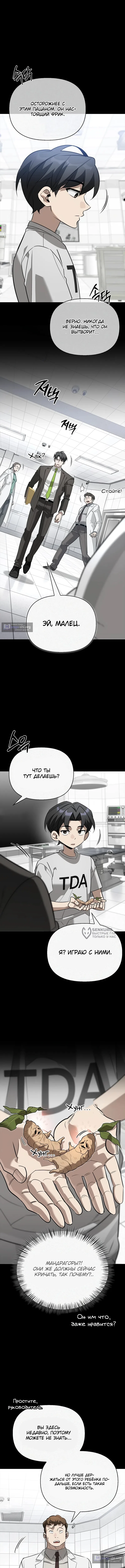 стр 6
