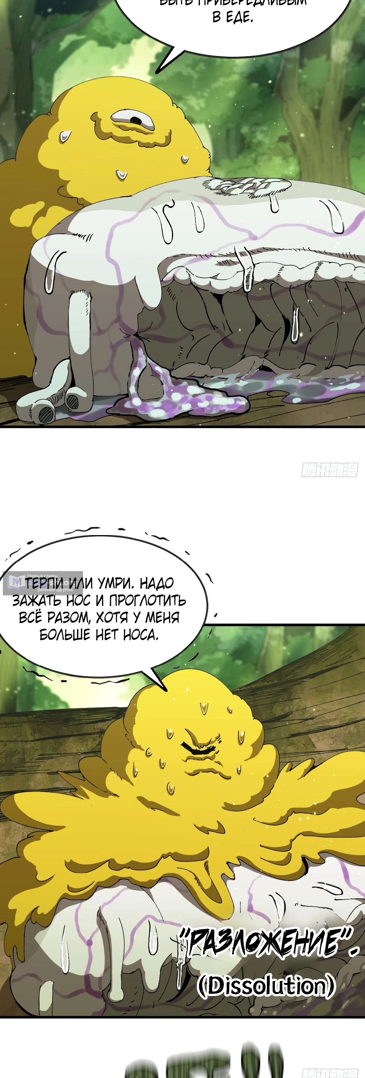 стр 5
