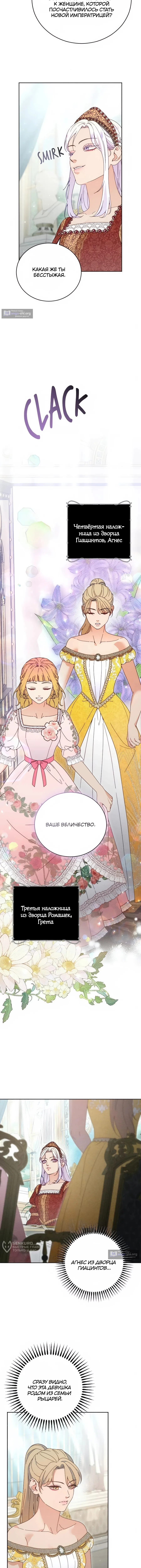 стр 5