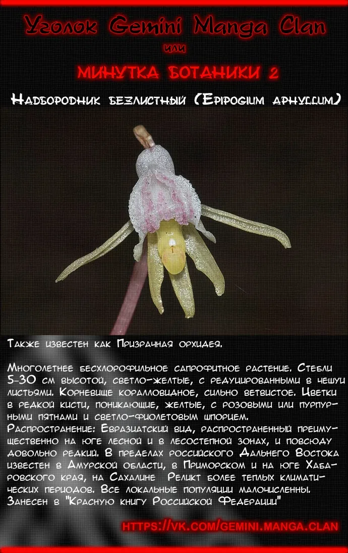 стр 16