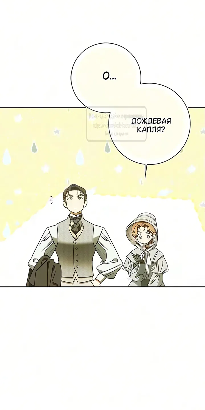стр 31