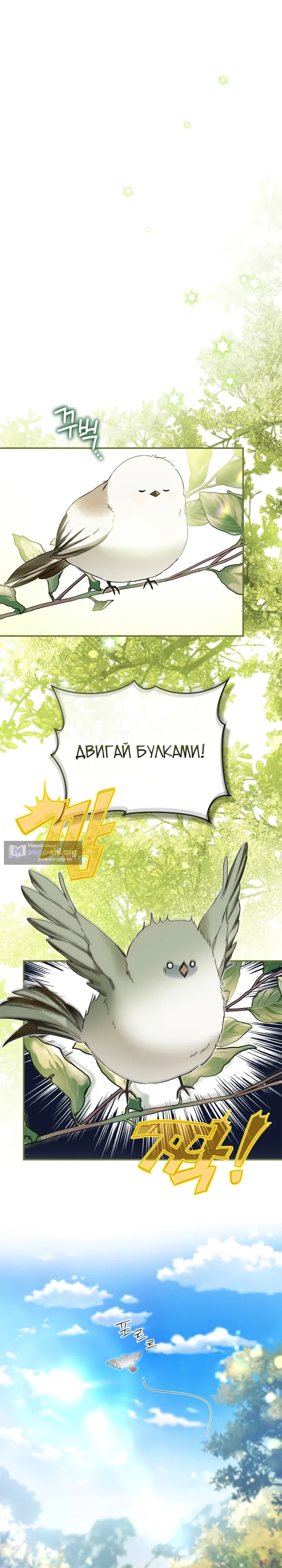 стр 14
