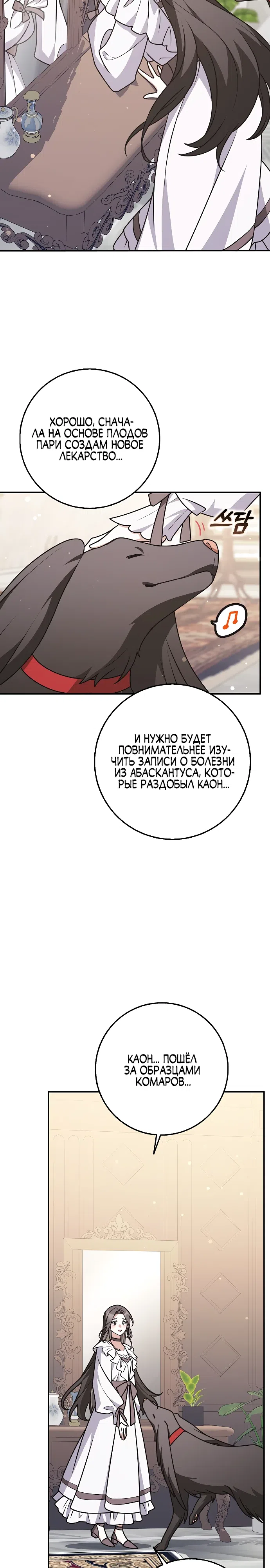 стр 24