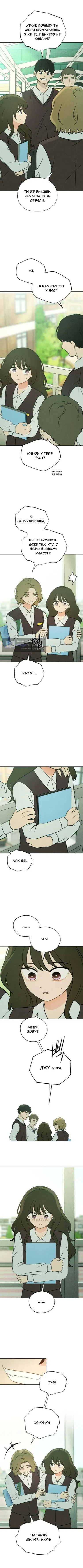 стр 7