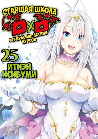 Старшая школа D×D (Новелла)